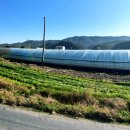 임곡동행정복지센터 이미지