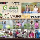 양구토종민들레영농조합 이미지