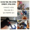 싱크대막힘하수구막힘변기막힘배관배수구막힘역류뚫어 네이버블로그