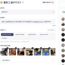 랭크짐 | 블로그 다시 시작하게 만든 블로그 분석 AI 서비스, 판다랭크 후기
