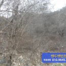 김삿갓면-0 이미지