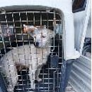 승원 동물병원 이미지