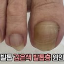 레푸스강남세곡점 이미지