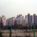 삼호 공인중개사사무소 이미지