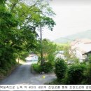 단독주택·창고시설 신축