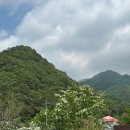 강노을펜션 | [단양 펜션] 노을 맛집 프라이빗 독채, 가족. 커플 모두 만족한 힐링 숙소 후기