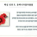 방영학 - 달서구 야외음악당로 64 | 방영학