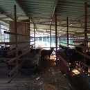 김기열 농장 이미지