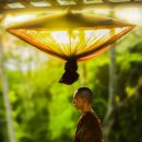 미라클 독 | 미라클 모닝 후기 - 4. 명상(Meditation)