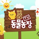 자작나무집 펜션 이미지