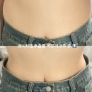 와사비잎추출물 다이어트 성공후기
