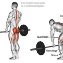 ZO GYM(조짐) 이미지