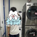 울릉컴퓨터 | 울릉도 저동항 숙소 추천 울릉위드유 디럭스룸 후기(카페/세탁기/건조기보유)