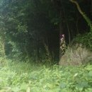 진도민박 이미지