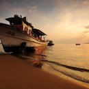 드르니항 이미지