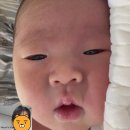 [망고엄마] 레피리움 서대문점 2주 후기/조리원 천국/조리원 이용 꿀팁🍯