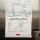 [제주 서쪽 숙소 추천] 혼여 최적화! 성산일출봉 플레이스캠프 제주 내돈내산 숙박 후기