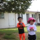 다희농원 이미지