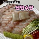 신안맛집 | 신안수산 안양농수산물시장 회 포장 맛집 후기