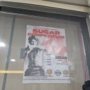 슈가복싱 이미지