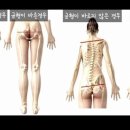 바비테라피
