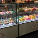 해달새 그리고 나무 이미지