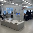 진헤어포인트 | 헤어하우스앤 옥정중앙점 클리닉 후기｜잦은 염색, 펌으로 푸석해진 머릿결 관리