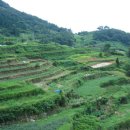 가천다랭이마을 이미지