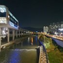 팔달대교 야경 이미지