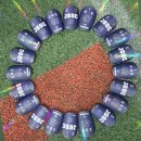 건강교실-자연면역력 키우기 | 초등 축구선수 꿈 키우기! 중랑구 초등 축구교실 JSSC 상봉 "선수반 성장기"