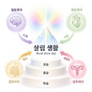 쿼드사피엔스로 가는 길 [Episode 06] 쿼드사피엔스 수행으로 4토피아 누리기 이미지