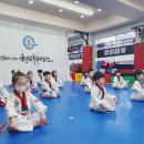 글로벌박사 경희대 태권도장 네이버블로그