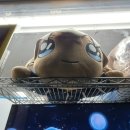 마한문화회관 | 잇떼끼마스~ [2025.11.30]