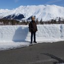 양일고등학교 이미지