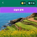 정답은꽃 이미지