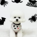 엔젤라독 이미지