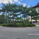 우주카클리닉 이미지