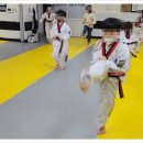 경희대 태권도장 이미지