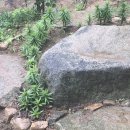 지우농장 이미지