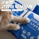 리얼포펫 | 🐱 굿포펫 고양이 두부모래 후기 | 아기와 고양이가 함께 사는 우리 집의 선택