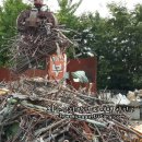 대성비철 이미지