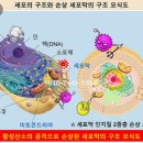 주식회사 호체 이미지