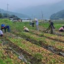 덕곡면사무소 이미지