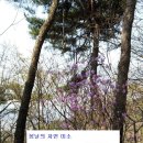 자연미소 - 중구 중앙대로 405 | 자연미소