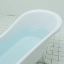 에고튼 네이버블로그