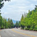 천안종합휴양 이미지