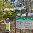입산 | 등린이 칠보산 등산후기(+주차정보, 난이도, 건달산 입산통제)
