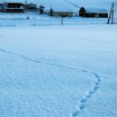 중앙일보(주) 이미지