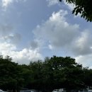 의료자산관리컨설턴트(주) 이미지