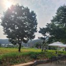 비헤브(BE HAVE) 이미지